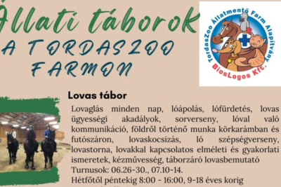 tordaszoo_tabor2023_